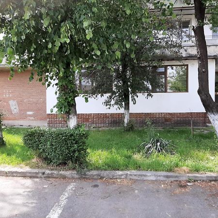 Kriss Apartment Luxury Тыргу-Жиу Экстерьер фото